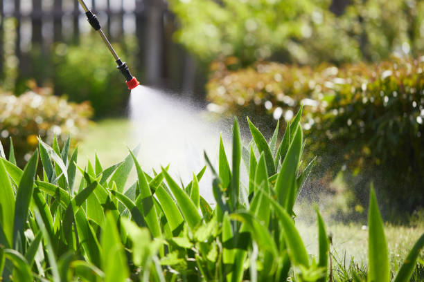 Tamper-Resistant Bait Stations for Rodents in Estero