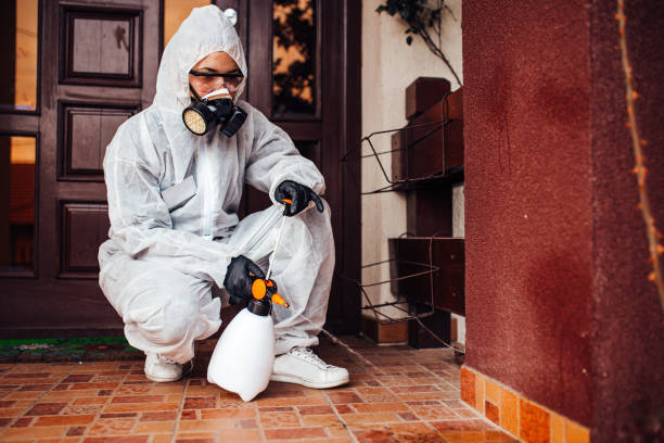 Attic and Crawl Space Rodent Treatment in Estero