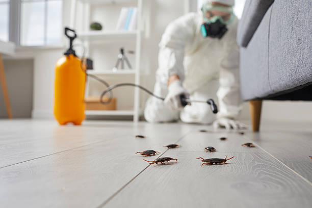 Commercial Rodent Management in Estero